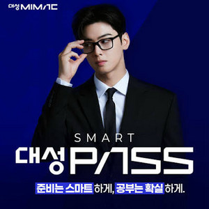 대성패스+교재캐시 152000원 이미지