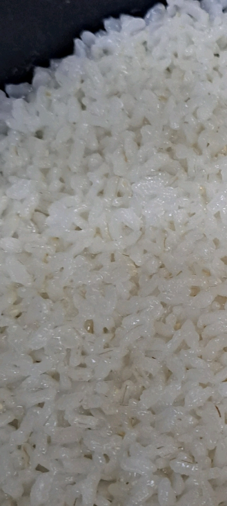 쿠첸 6인용 압력밥솥 이미지