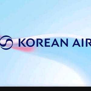 대한항공 압박스타킹 블라우스 ㅡ 사용. 새제품 이미지