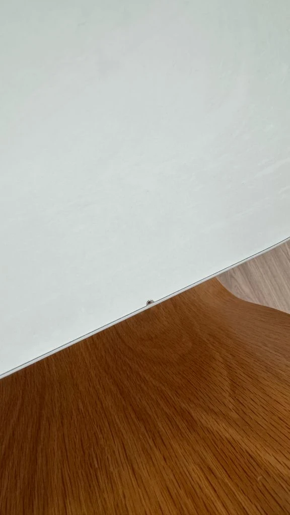 잭슨카멜레온 테이블 1400 듀로 이미지