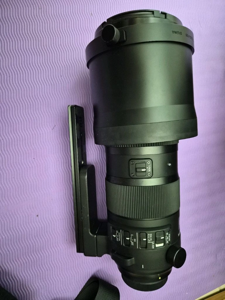 시그마 S 150-600 DG DN OS 캐논 마운트 이미지
