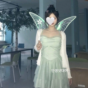 팅커벨 대여 졸사대여 디즈니 의상대여 졸업사진 이미지