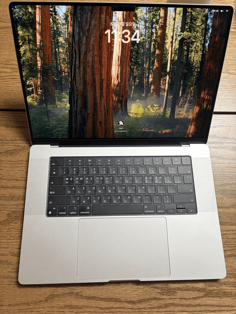 맥북 프로 16 m3 36gb 1tb + 애플케어 플러스 팝니다. 16인치 이미지