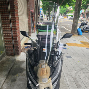 pcx125cc 스쿠터 이미지