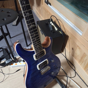 PRS SE Custom 24 일렉기타 이미지