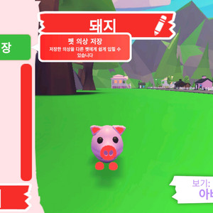 입양하세요 펫 메가네온 돼지 판매합니다. 이미지