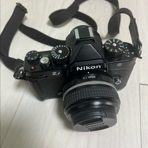 니콘 zf + 40mm f2 이미지