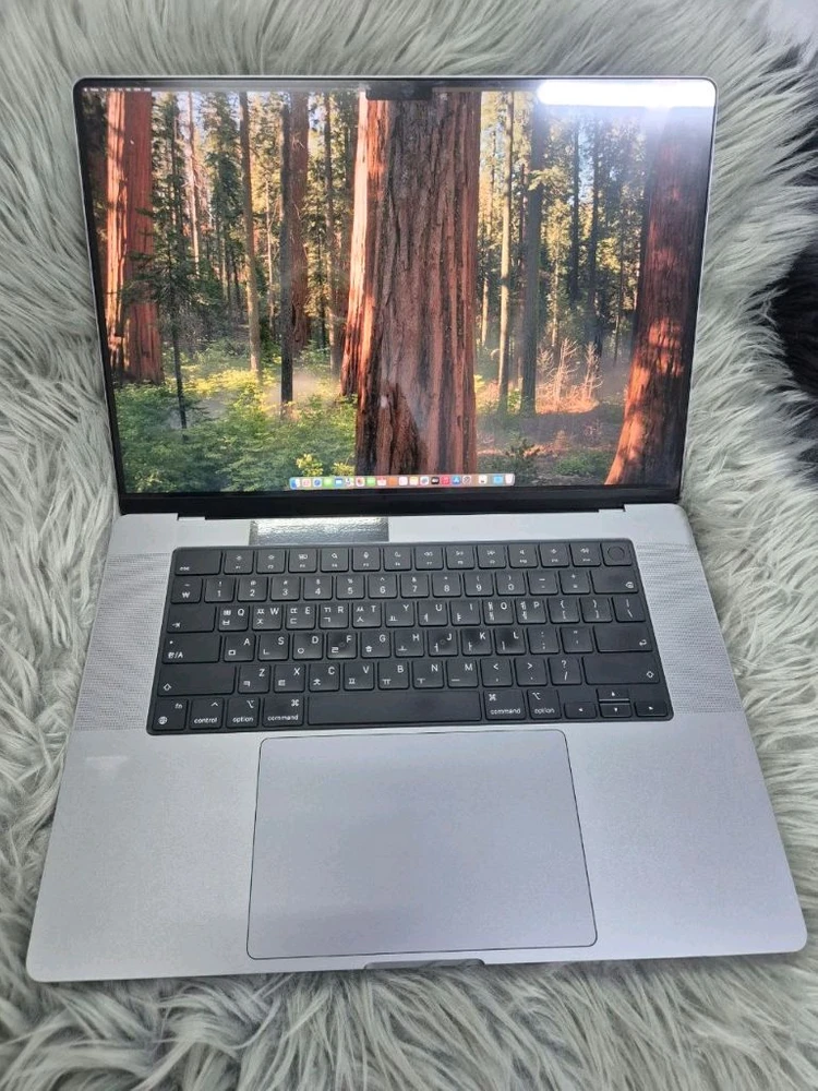 맥북 m1 pro a2485 RAM 32g 1tb 16인치 이미지