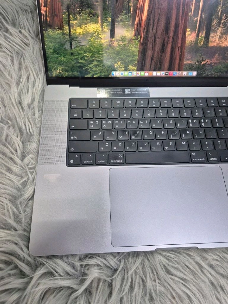 맥북 m1 pro a2485 RAM 32g 1tb 16인치 이미지