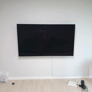 LG 올레드 OLED 65인치 TV 이미지
