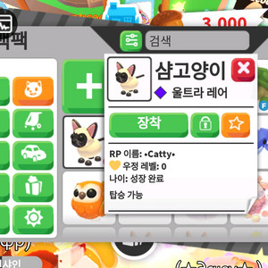 입양하세요. 샴고양이 팝니다. 이미지