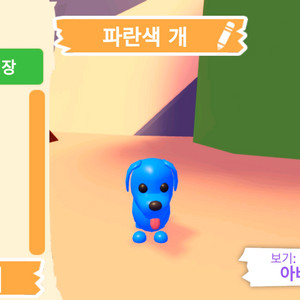 입양하세요 펫 파란색 개(파강)판매합니다 이미지