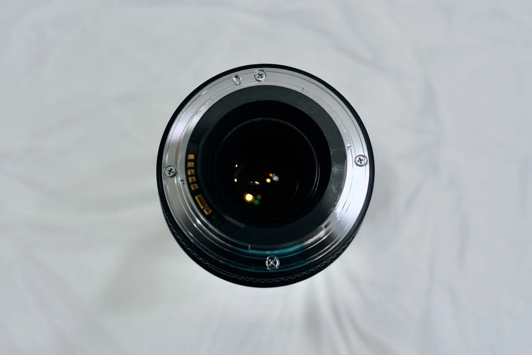 캐논 EF 100mm f/2.8L 접사 백마크로 매크로 렌즈 - canon 백마 백마엘 케논 dslr 렌즈 소니 이미지
