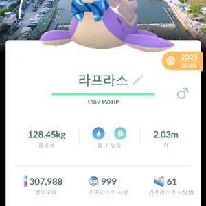 포켓몬고 이로치 리본 라프라스 장흥 배경 이미지