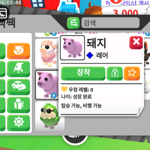 입양하세요 날타돼지 이미지