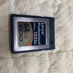 렉사 Professional XQD 64GB 이미지