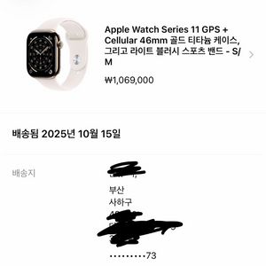 애플워치 11 GPS+46mm 골드 티타늄 케이스, 라이트 블러시 스포츠 밴드 이미지