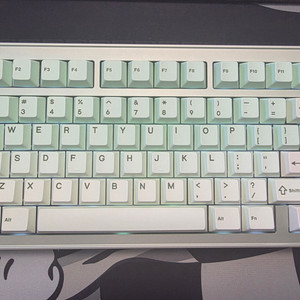 Evo75 Light Sage 풀알루미늄 기계식키보드 이미지