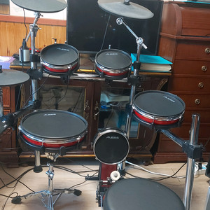 알레시스(Alesis) Crimson 전자드럼 이미지