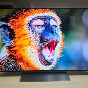 LG 올레드 TV OLED48C3ENA 48인치 이미지