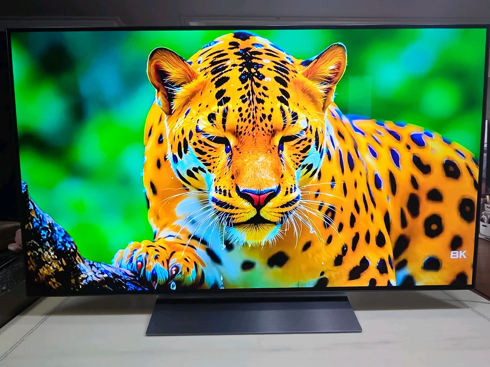 LG 올레드 TV OLED48C3ENA 48인치 이미지