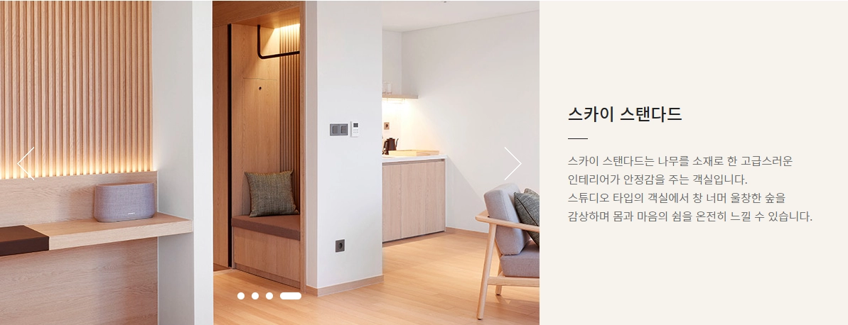 휘닉스 파크(평창) 리조트 숙박권 (스카이스탠다드, 20평형) 이미지