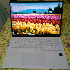 LG그램 16Z90P-GP70ML i7-11세대 이미지