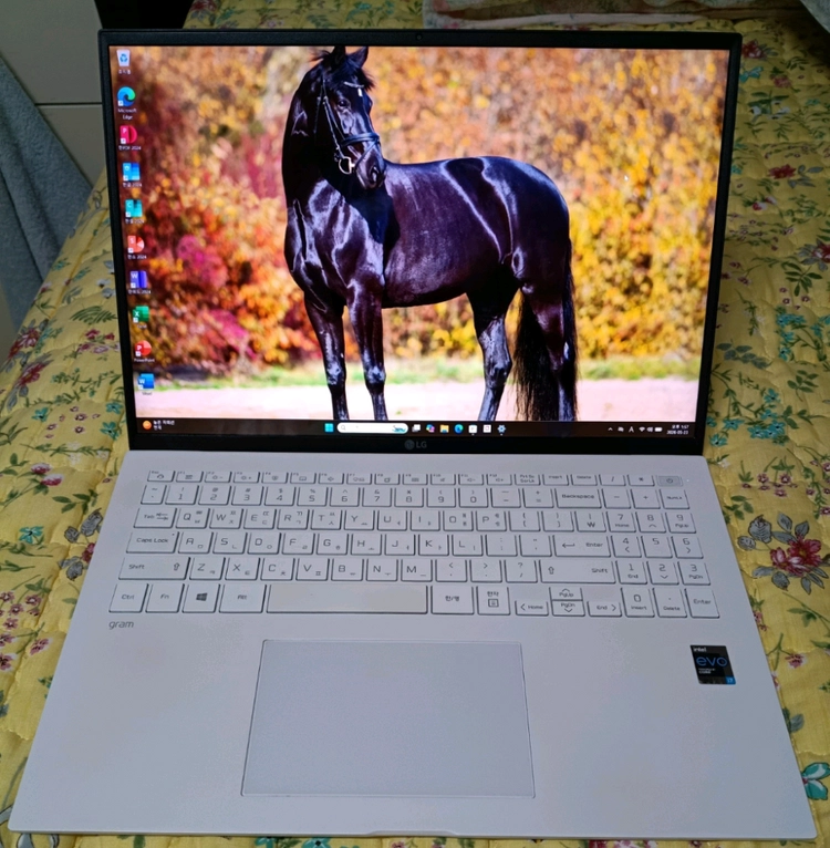 LG그램 16Z90P-GP70ML i7-11세대 이미지