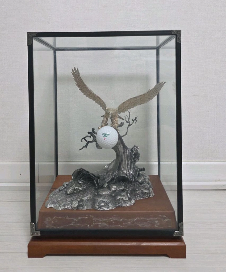 골프 이글트로피. 이글패 이미지