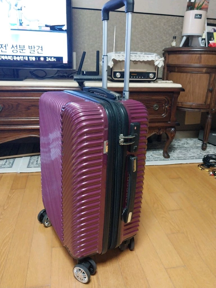 파비앙 캐리어 이미지