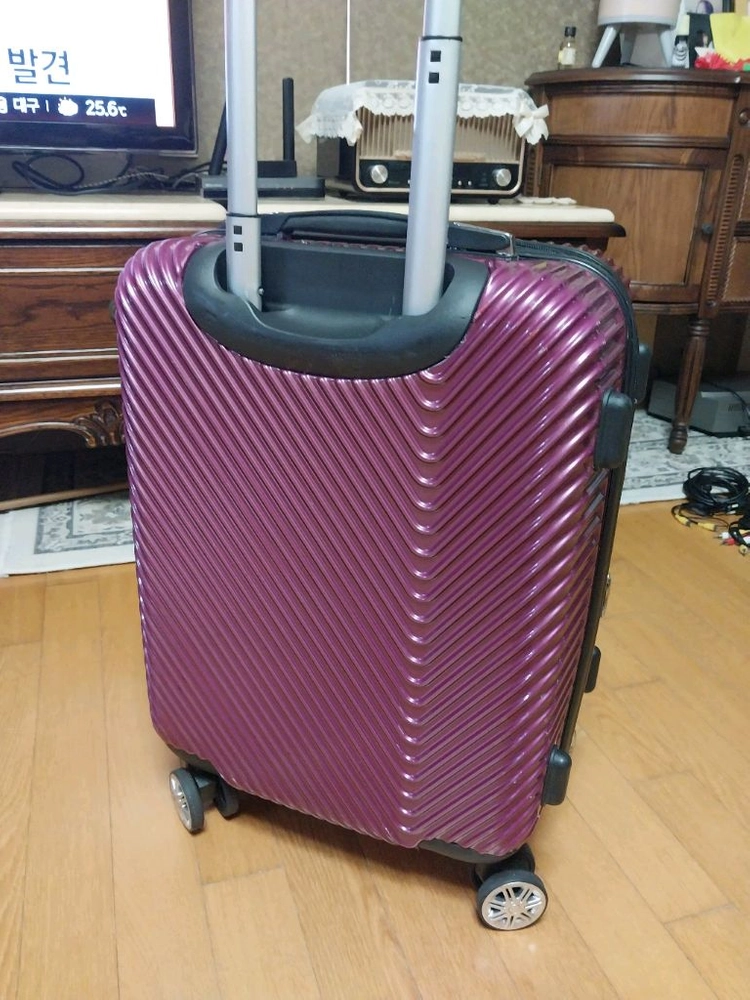 파비앙 캐리어 이미지