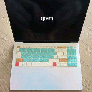 LG 그램 16Z90RS-GD7CK (SSD 2TB)