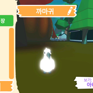 입양하세요 펫 네온 까마귀(네까막)판매합니다 이미지