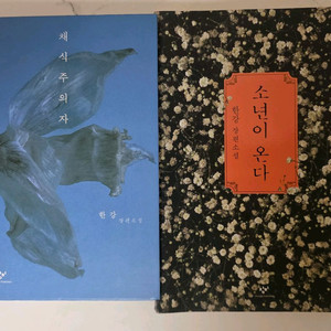 베스트셀러 도서 채식주의자 / 소년이 온다 책 (한강 장편소설) 이미지
