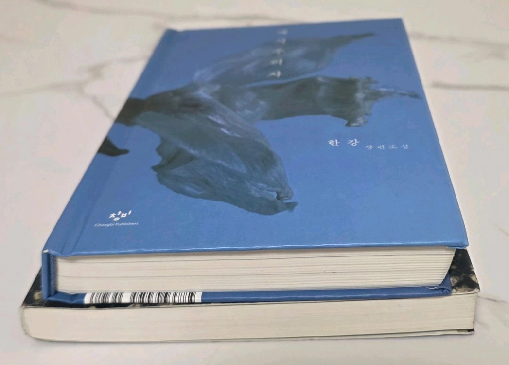 베스트셀러 도서 채식주의자 / 소년이 온다 책 (한강 장편소설) 이미지