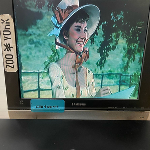 명기 전문가용 파이오니아 DVD-V8000 DVD, CD 플레이어 픽업상태 좋은 제품 팝니다. 영상있음 이미지