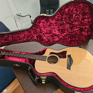 테일러 214ce-fo dlx ltd 이미지