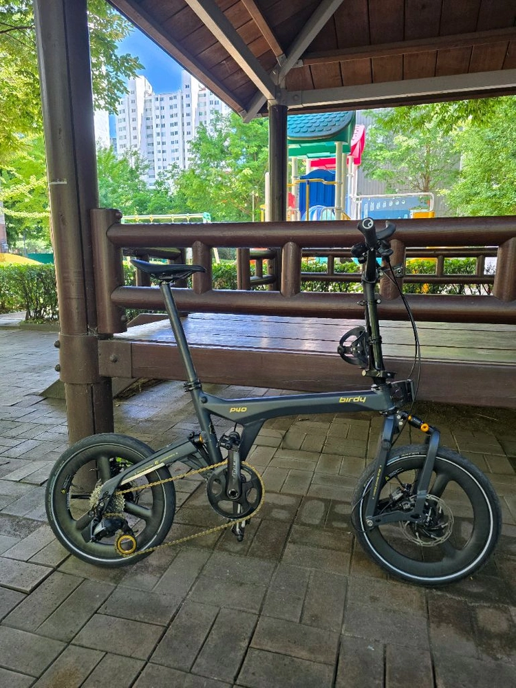 버디 P40 팝니다. 이미지