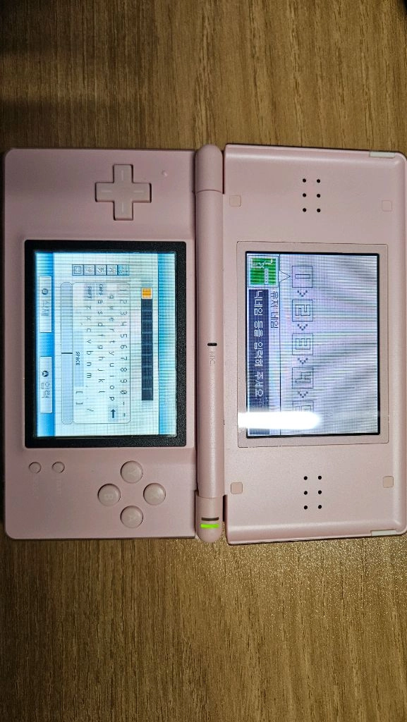 닌텐도 ds 라이트와 게임칩 이미지
