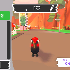 입양하세요 악콘 팝니다 급처 이미지