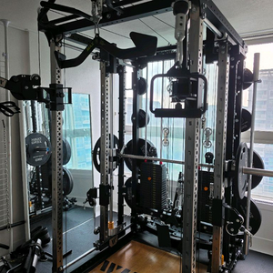 와일든 1538 팝니다 이미지
