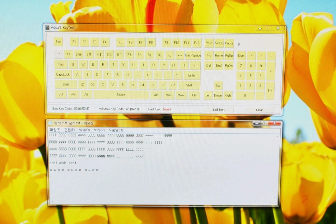 구형 빈티지 키보드 삼성 DT35 구디티 / PS2 이미지