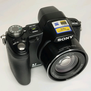 소니 DSC-H50 칼자이스 , CCD, 31 - 465mm 이미지