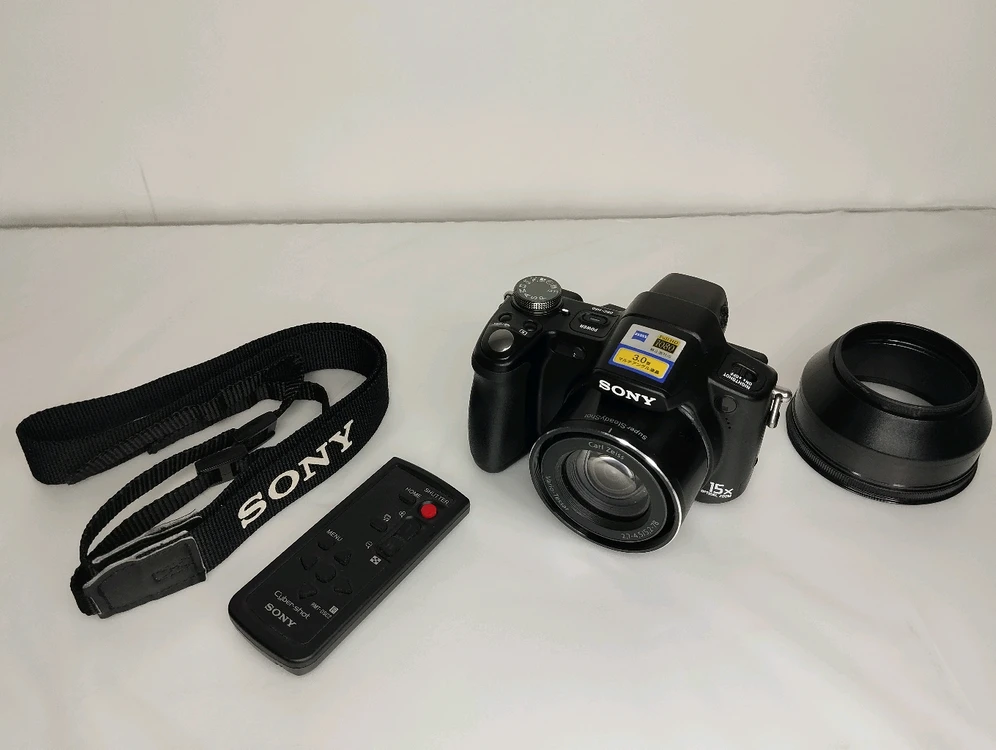 소니 DSC-H50 칼자이스 , CCD, 31 - 465mm 이미지