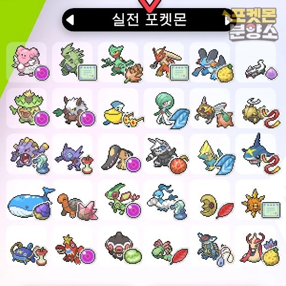 실전 샘플 포켓몬 분양 / 소드 실드 / 닌텐도 스위치 이미지