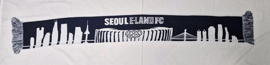 서울 이랜드 머플러 팝니다 이미지