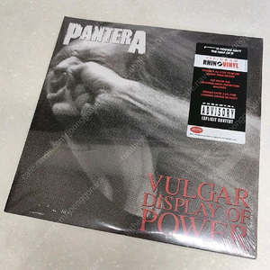 Pantera (판테라) - Vulgar Display of Power (2LP) 이미지