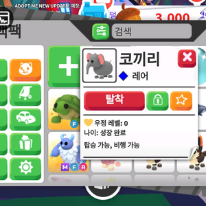 입양하세요 날타 코끼리 이미지