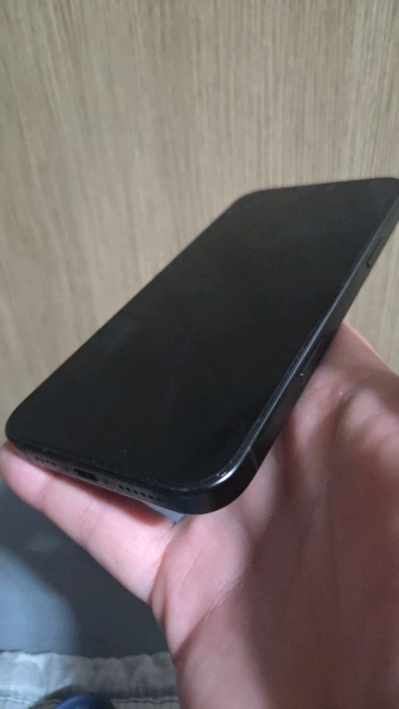아이폰16프로맥스 1TB 이미지