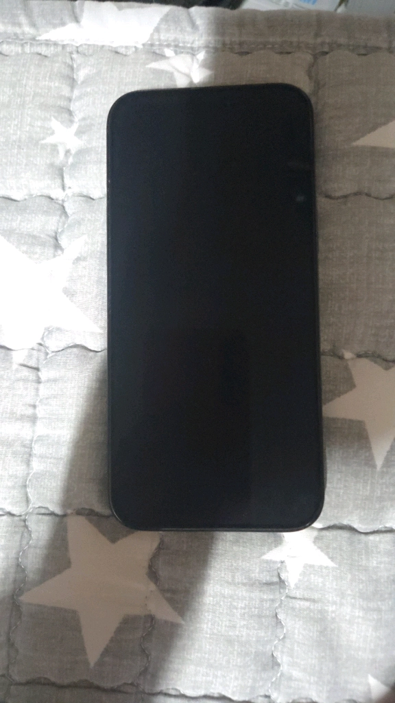 아이폰16프로맥스 1TB 이미지
